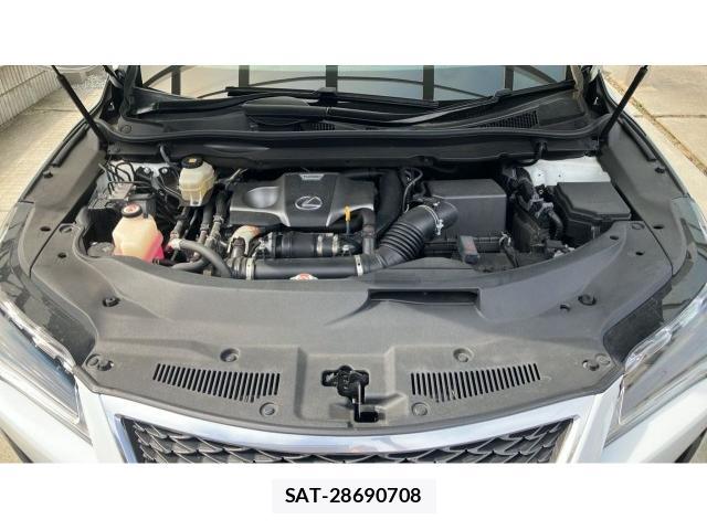 Lexus RX 2018-01 8055415-7
