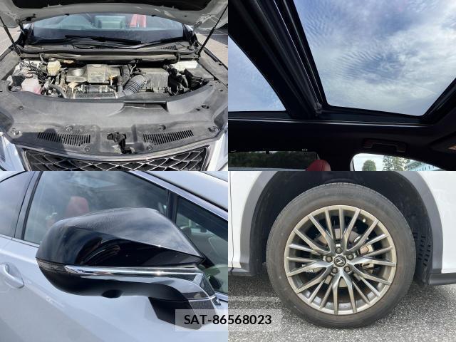 Lexus RX 2022-08 8055827-7