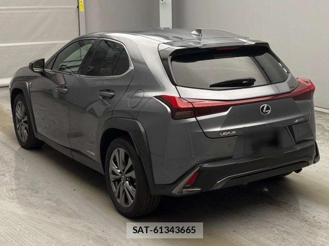 Lexus UX 2019-09 8055036-9