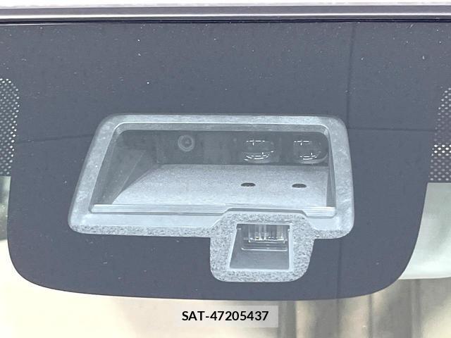 Suzuki LAPIN 2019-11 8071259-4