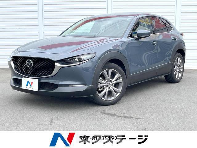 Mazda CX-30 2020-03 8071320-0