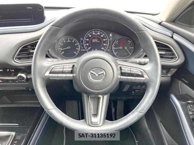 Mazda CX-30 2020-03 8071320-10