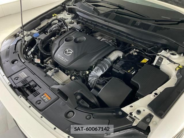 Mazda CX-8 2019-01 8071516-12