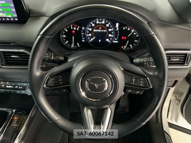 Mazda CX-8 2019-01 8071516-13