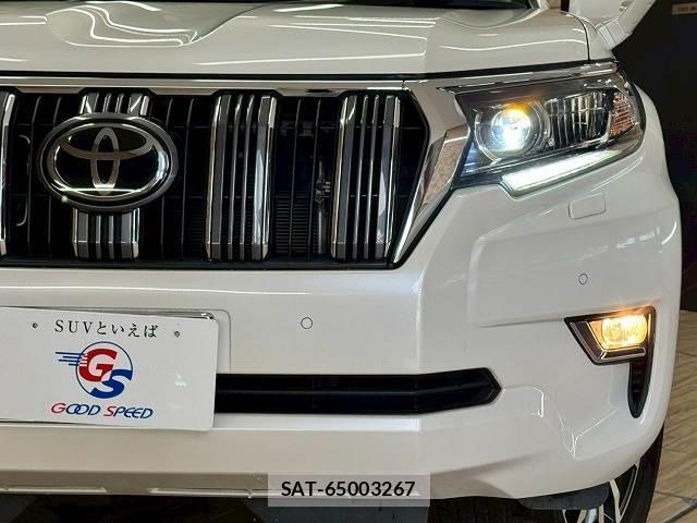 Toyota LAND CRUISER PRADO 2020-11 8071120-19