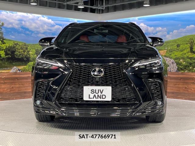Lexus NX 2024-03 8071173-14