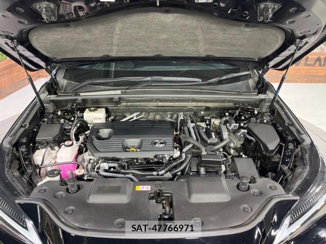 Lexus NX 2024-03 8071173-18