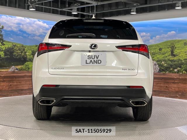 Lexus NX 2020-07 8071180-15