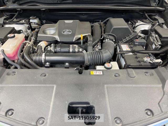 Lexus NX 2020-07 8071180-18