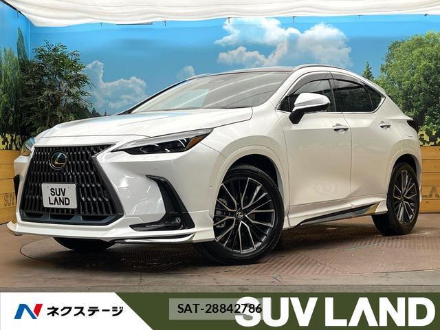 Lexus NX 2025-06 8071325-0