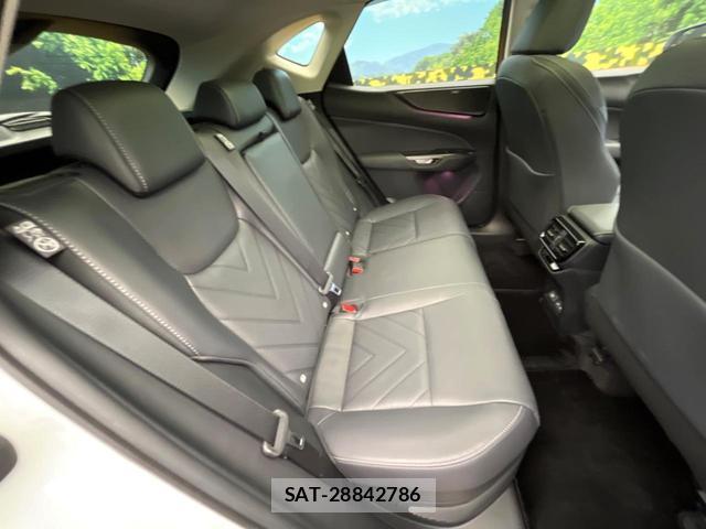 Lexus NX 2025-06 8071325-10