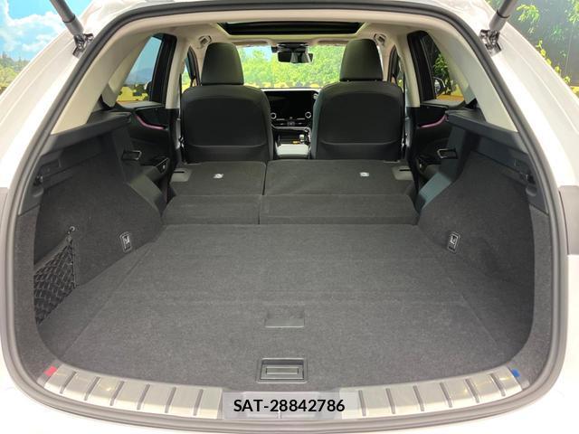 Lexus NX 2025-06 8071325-11