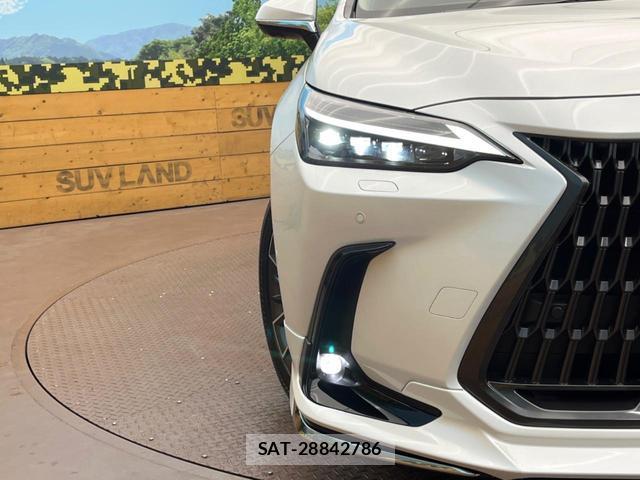 Lexus NX 2025-06 8071325-13