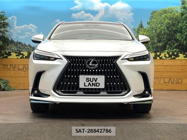 Lexus NX 2025-06 8071325-15