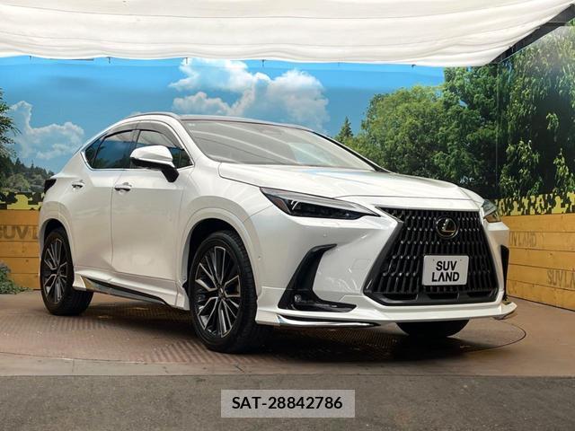 Lexus NX 2025-06 8071325-17