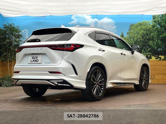 Lexus NX 2025-06 8071325-18