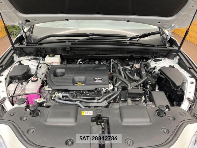 Lexus NX 2025-06 8071325-19