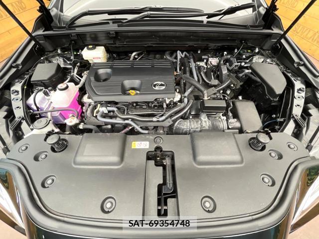 Lexus NX 2025-07 8071329-17