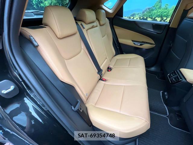 Lexus NX 2025-07 8071329-8