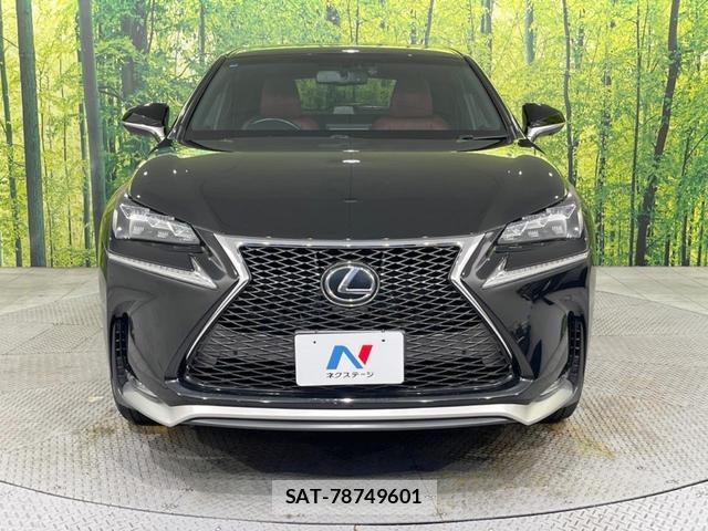 Lexus NX 2016-07 8071492-13