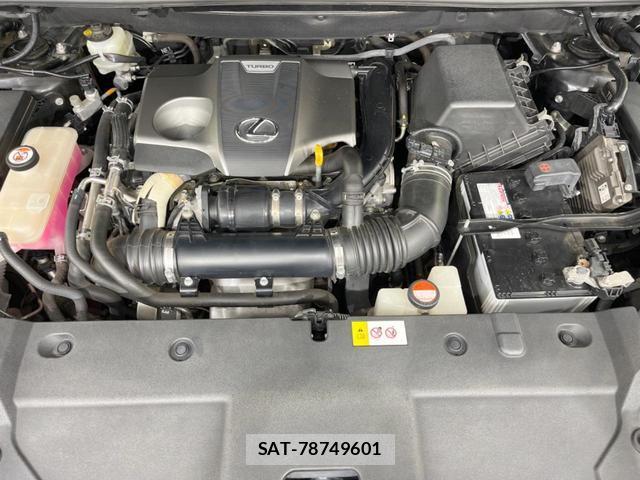 Lexus NX 2016-07 8071492-17
