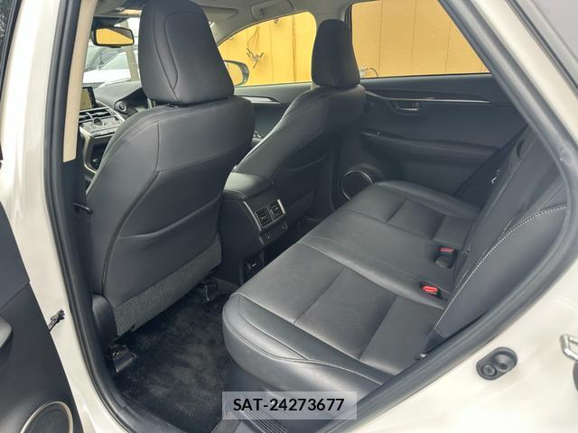 Lexus NX 2019-08 8071497-14