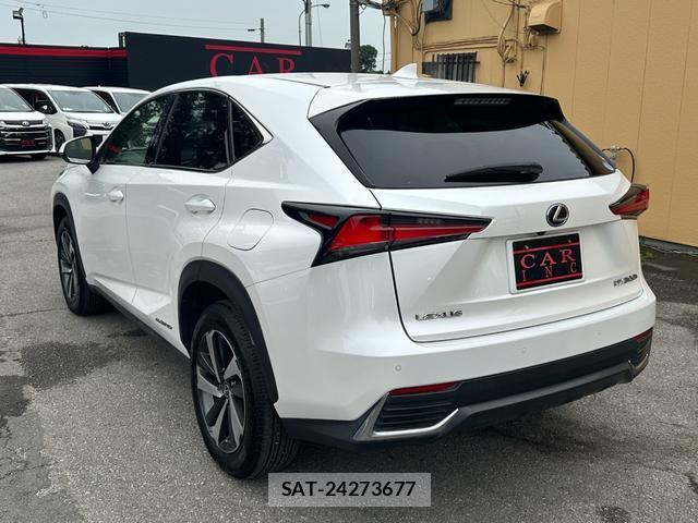 Lexus NX 2019-08 8071497-17