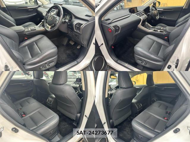 Lexus NX 2019-08 8071497-7