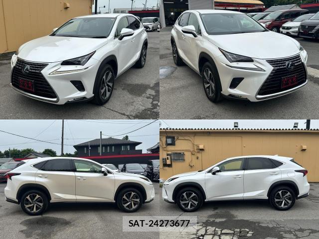 Lexus NX 2019-08 8071497-8