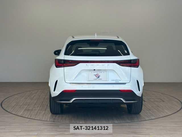 Lexus NX 2023-07 8072610-14