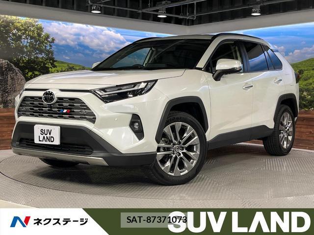 Toyota RAV4 2024-11 8071170-0