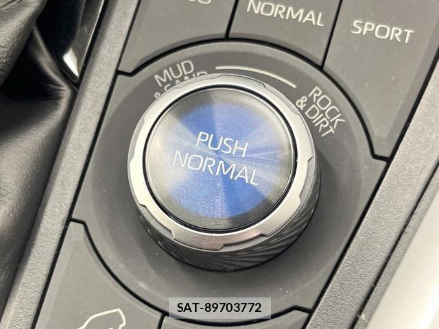 Toyota RAV4 2020-03 8072354-2