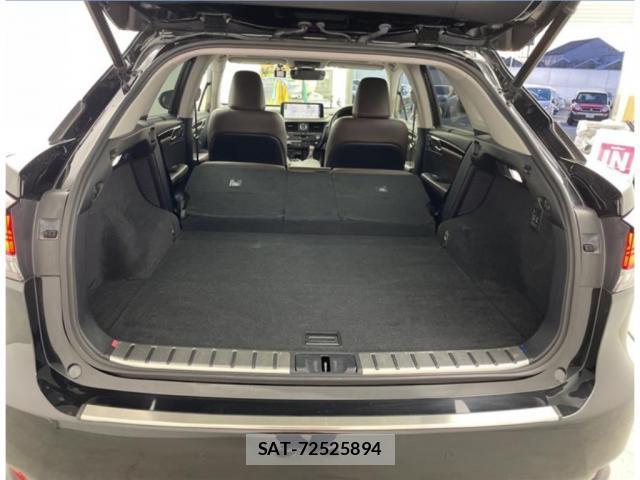 Lexus RX 2019-12 8070901-11