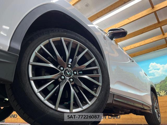 Lexus RX 2017-10 8072227-12