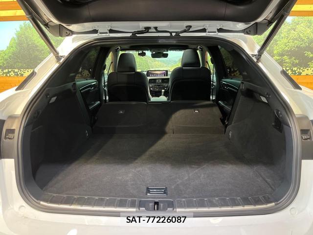 Lexus RX 2017-10 8072227-9