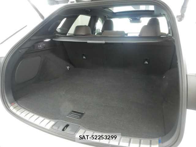 Lexus RX 2024-04 8072335-18