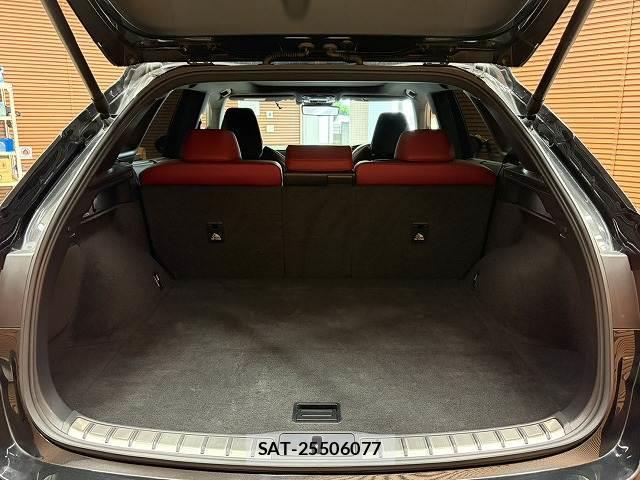 Lexus RX 2023-05 8072361-19
