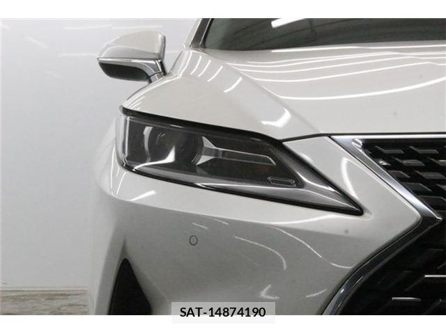 Lexus RX 2021-02 8072439-11