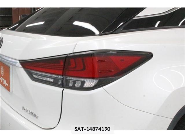 Lexus RX 2021-02 8072439-18