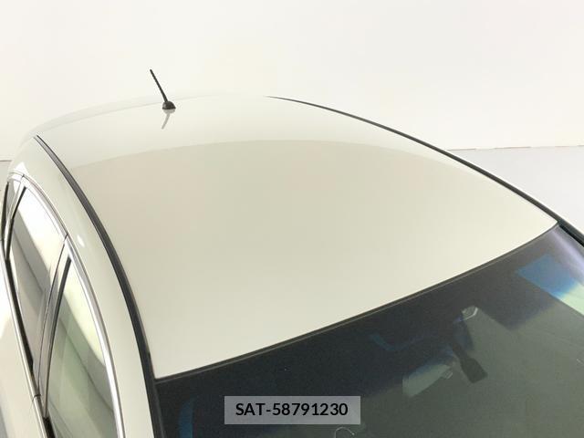Nissan SKYLINE CROSSOVER 2013-07 8072248-9