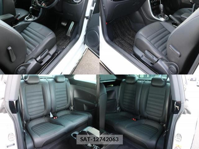 VolksWagen THE BEETLE 2019-06 8072411-10