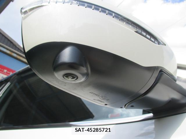 Nissan X-TRAIL 2020-03 8072162-12
