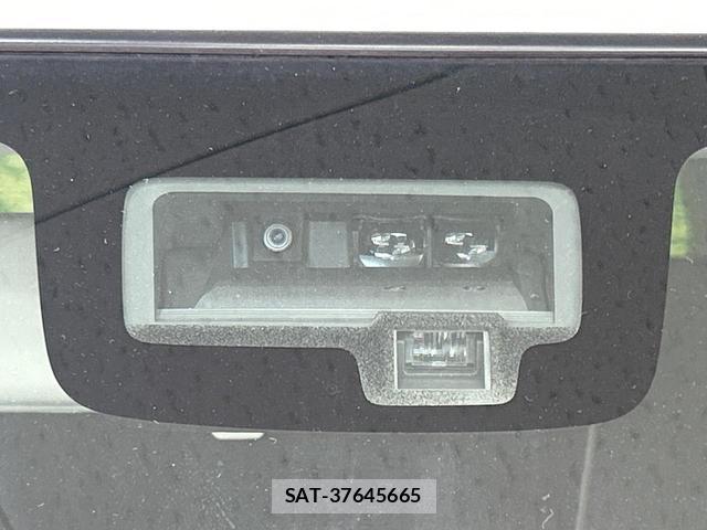 Suzuki X BEE 2018-07 8071128-4