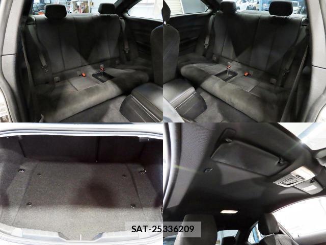 Bmw 2 SERIES 2018-06 8222306-13
