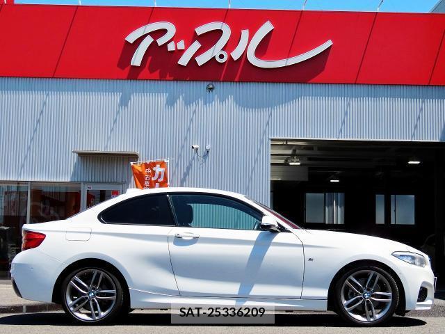 Bmw 2 SERIES 2018-06 8222306-4