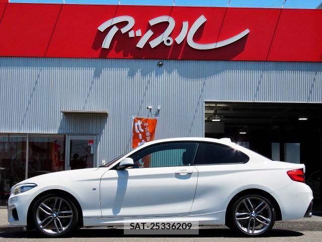 Bmw 2 SERIES 2018-06 8222306-5