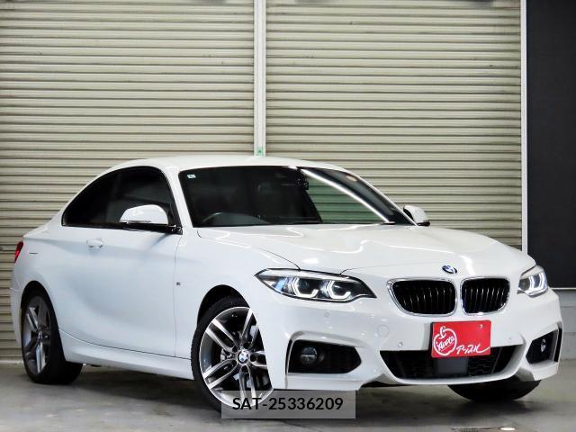 Bmw 2 SERIES 2018-06 8222306-6