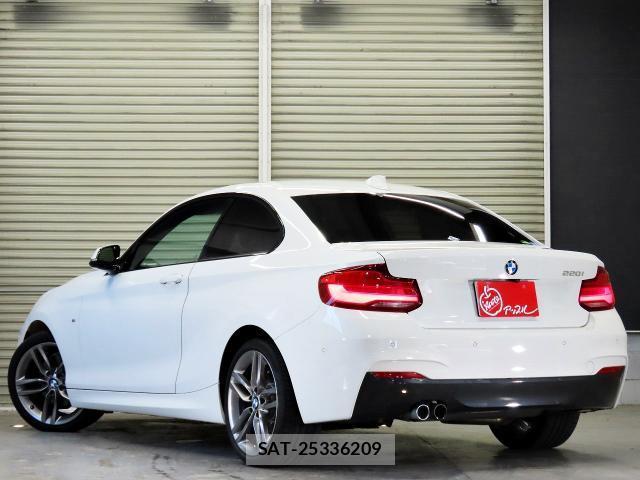 Bmw 2 SERIES 2018-06 8222306-7