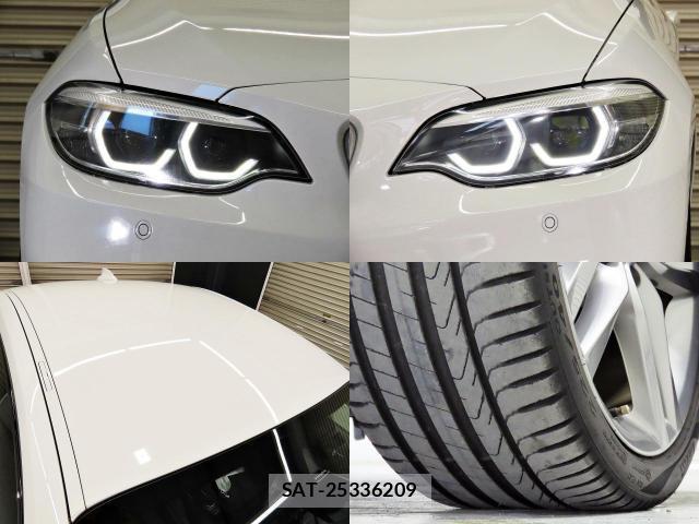 Bmw 2 SERIES 2018-06 8222306-8