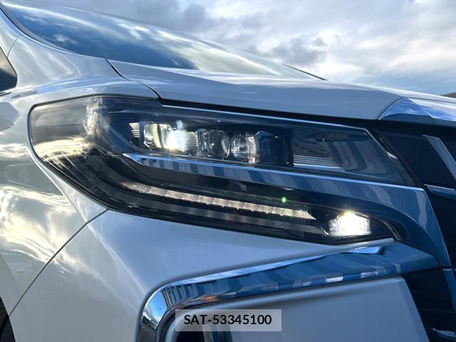 Toyota ALPHARD 2020-03 8219474-13